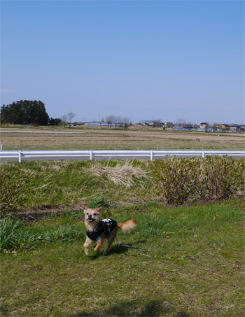 ( わー )