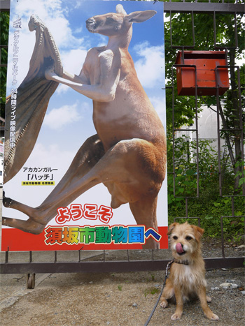 ( ペロリン )