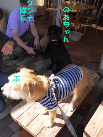 ( おら関係ないだ )