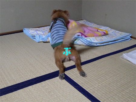 ( ずりずりだ~ )