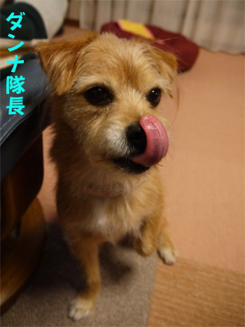 ( うまかっただ )