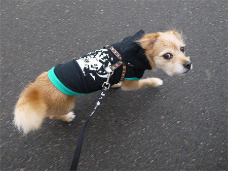 ( おらも成長しただ )