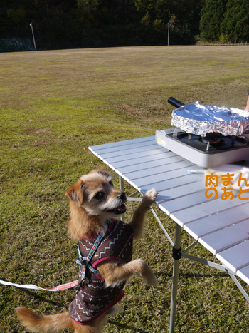 ( 今度こそおらも♪ )