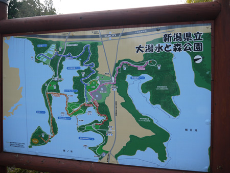( くまなく歩くだ )