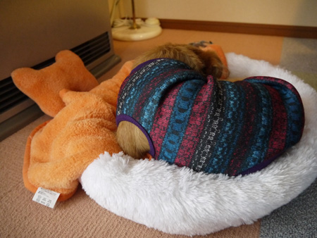( ZZZZZZ )
