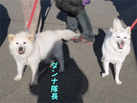 ( なにが楽しいだ? )