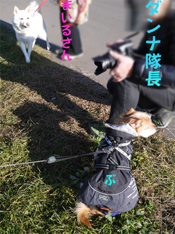 ( おら、いないだ )