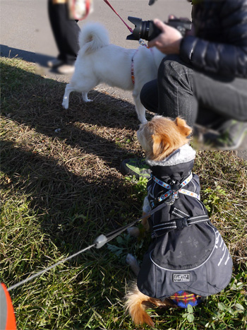 ( え。 )