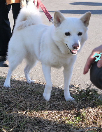 ( あたしのタイプかも )