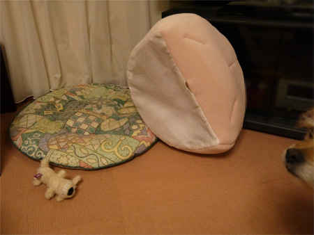 ( なんだこれ? )