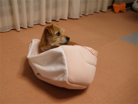 ( じーーーーっ )