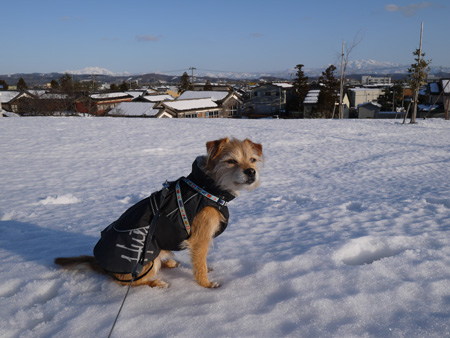 ( 雪もきれいだ )