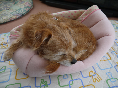 ( ZZZZZZZ )