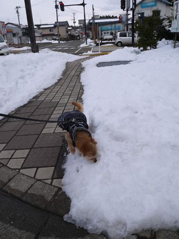 ( ここも 重要だ )