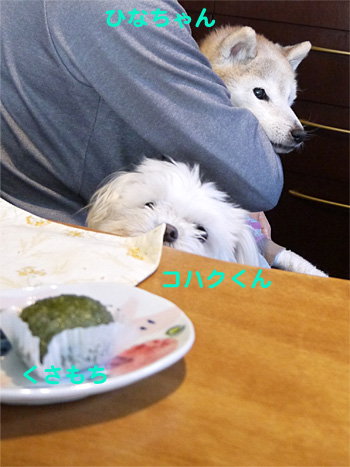 ( 紅一点! )