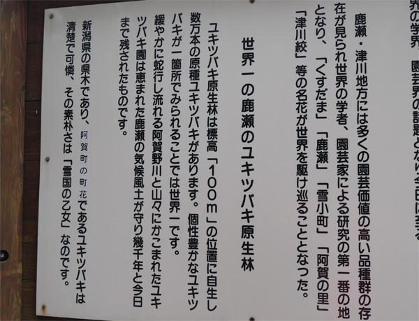 ( うんちく )