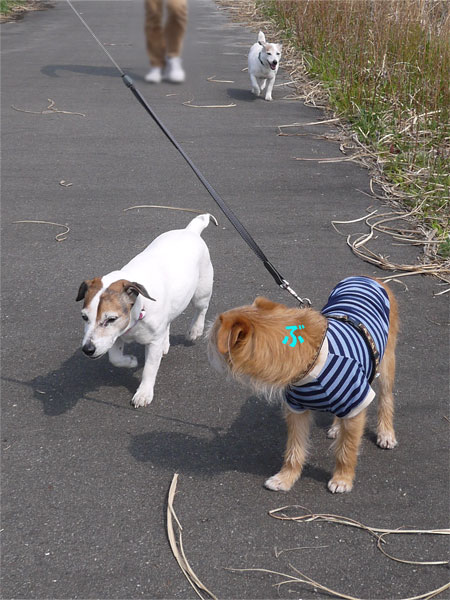 ( ドキドキ )