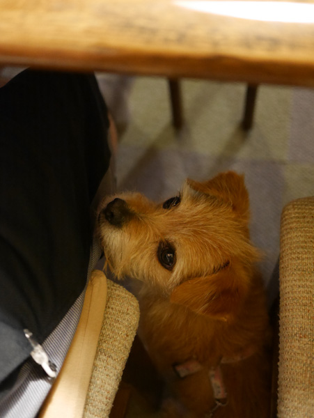 ( さっ! )