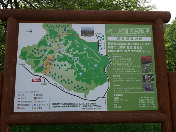 ( 浅間牧場 )