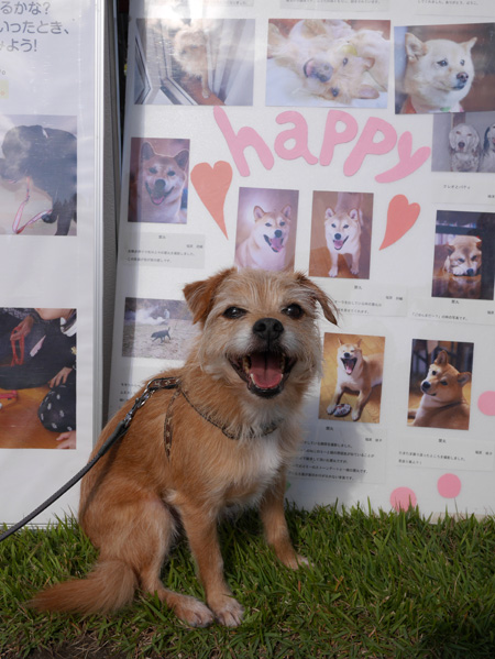 ( Are you happy? )