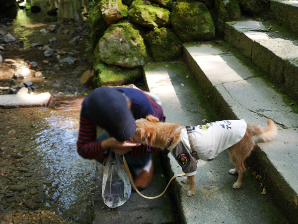 ( 水よりおやつだ )