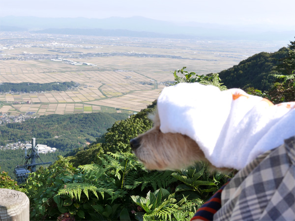 ( あれが越後平野だ )