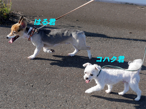( すっきり〜×2 )