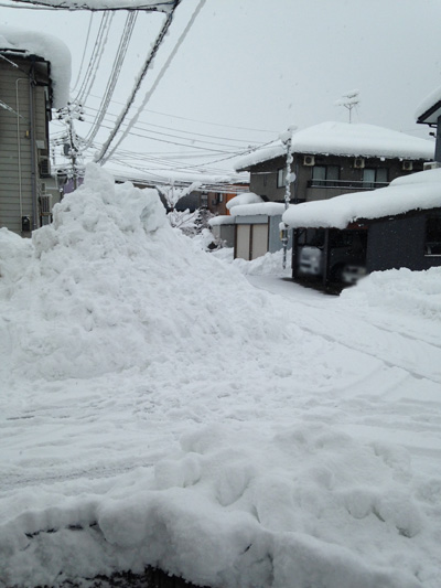 ( きのうの朝です )