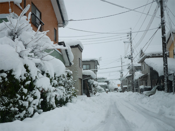 ( ぶうた町内 )