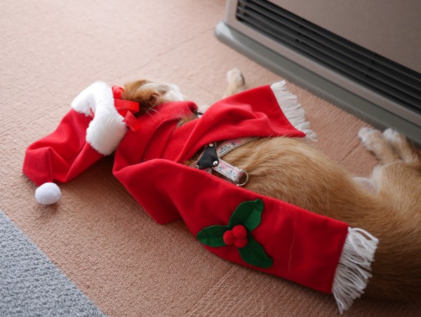 ( ZZZ )