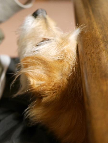 ( 待ってただ! )