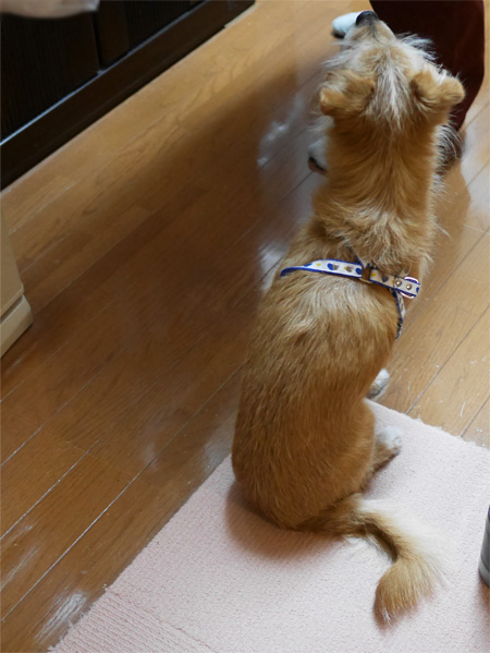 ( そこ、開けるだ )