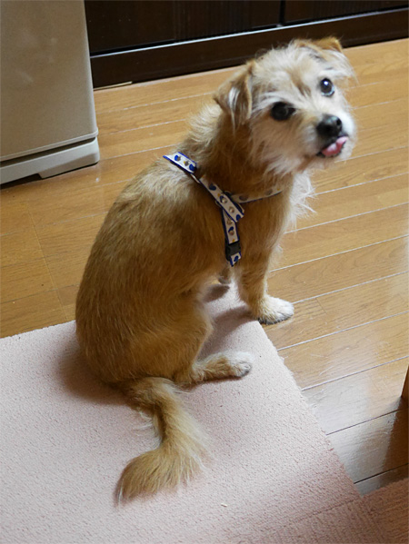 ( 出ただ )