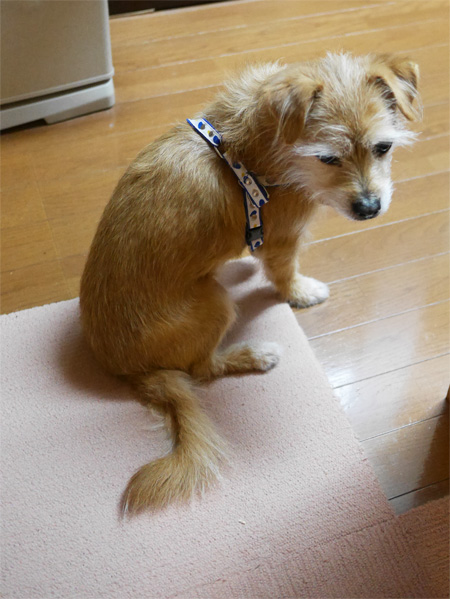 ( 出たのに・・・ )