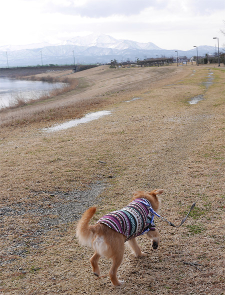 ( ふふんふん。 )