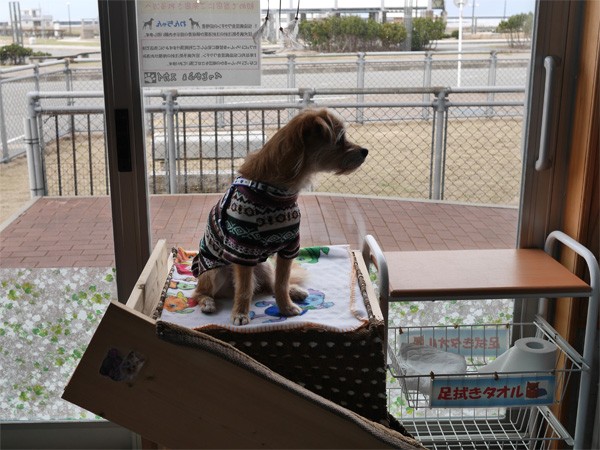 ( おら、ここで・・・・ )