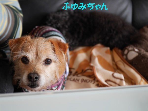 ( へ? )