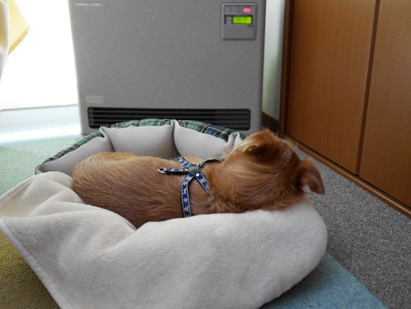( ZZZZz )