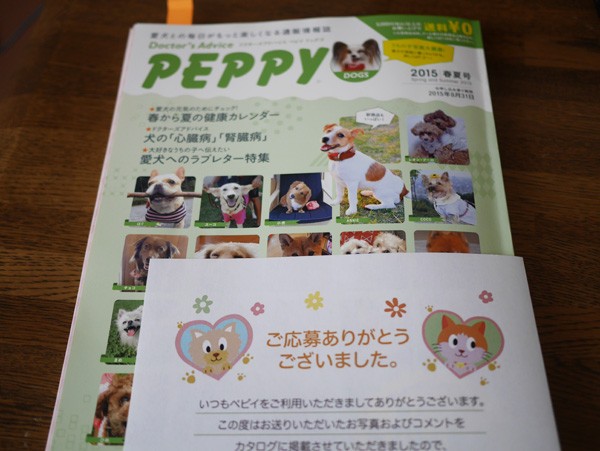 ( PEPPY 2015春夏号 )