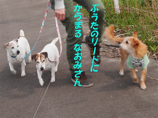 ( ねぇねぇ )