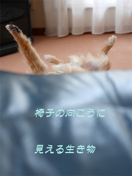 ( ニョキ )