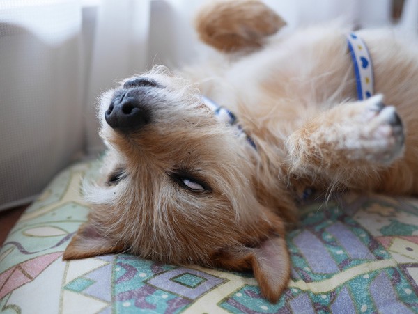 ( ZZzzzzz )