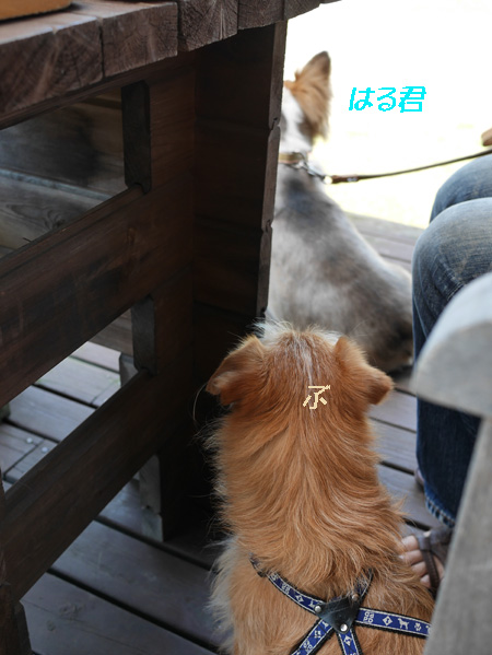 ( 何者?)