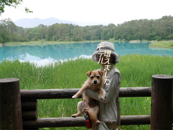 ( 弁天沼とモデルたち )