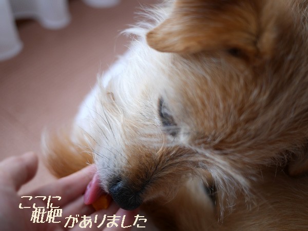 ( うんまかっただ )