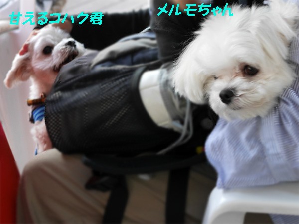 ( わぁ〜い♪ )