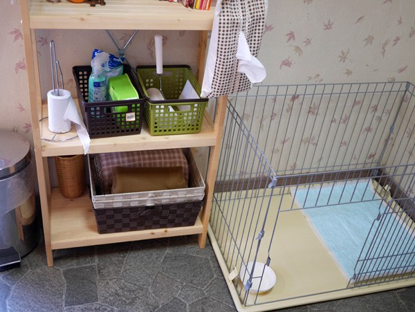 ( ワンコ用グッズ )