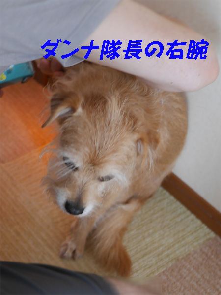 ( や、やめるだよ )