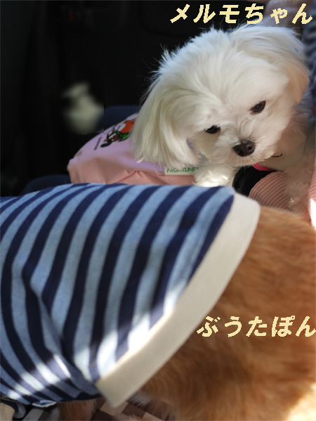 ( お、お、おら降りるだ )