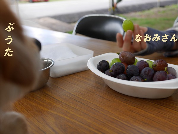 ( 試食だ♪ )